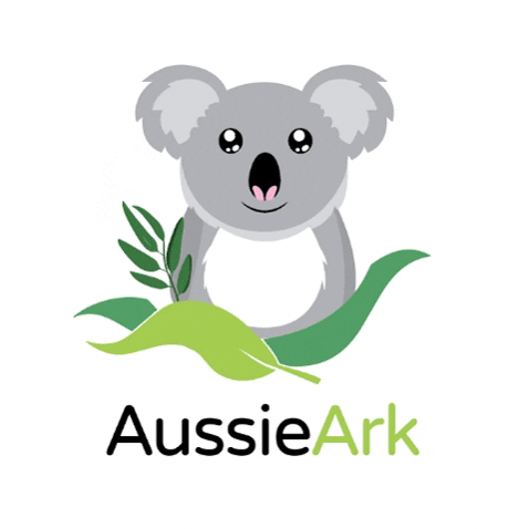 AussieArk koala treeplanting aussieark GIF