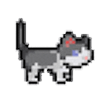 Cat Sticker