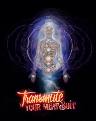 Vibes Transcend GIF by PRETTYDAMNGREAT