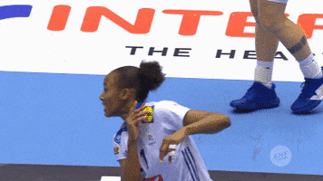 France GIF by EHF