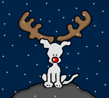 Merry Christmas GIF by Chippy the Dog