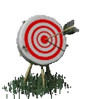 target archery Sticker
