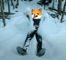Money Snow GIF by Baby Doge Coin