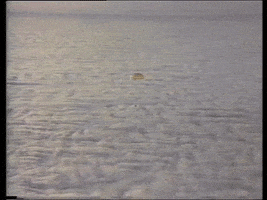 Parachute Soyuz GIF by CNES