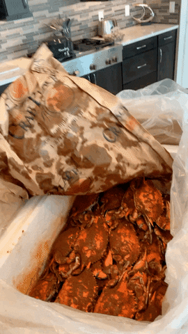 Delivery Crabs GIF by The Crab Place