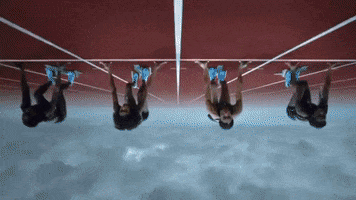 GIF by Almabrands