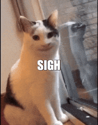 Cat Meme Sleep Gifs Get The Best Gif On Giphy Cat Meme Sleep Gifs Get The Best Gif On Giphy