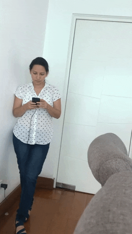 Poshi GIF