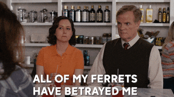 Betrayal Ferrets GIF by ABC Network