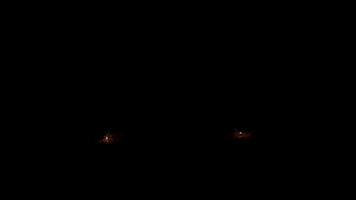 Grainest GIF