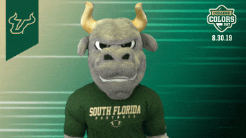 Usf College Colors Day GIF by University of South Florida