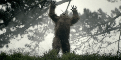 Excited Beast Mode GIF by Jack Link's Jerky - Find & Share on GIPHY