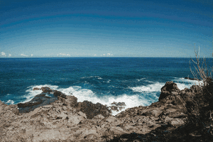 Water Beach GIF by Andrea Michelle Photography