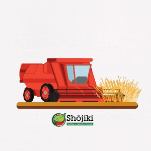 Shojikicap GIF by Shojiki Coaching Agricultura e Pecuária