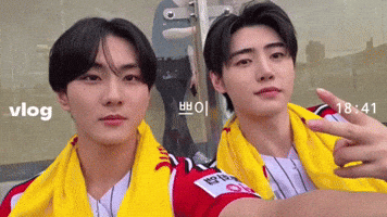 Sunghoon GIF