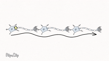 Nerve Impulse GIF