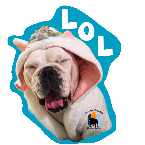 English Bulldog Lol Sticker by Southern California Bulldog Rescue