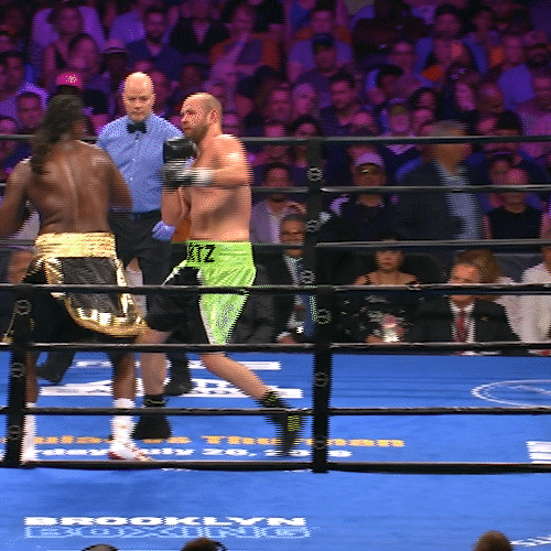 Knock Out Fight GIF by Premier Boxing Champions