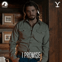 Paramount Network Agree GIF by Yellowstone