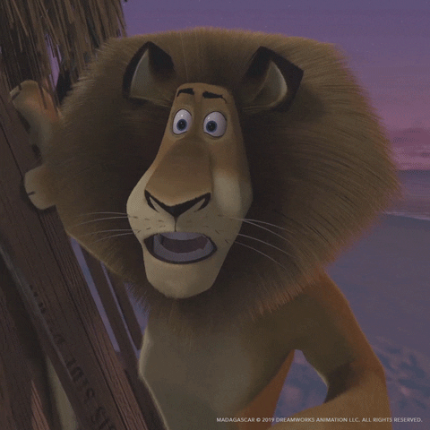 Cartoon gif. Alex from Madagascar stands next to a makeshift hut, looking shocked offscreen. Shock quickly turns to anger as he frowns intensely.