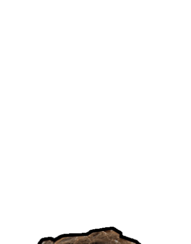 Party Swipe Up Sticker by Push-Mastering