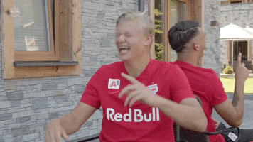 Twit Lol GIF by FC Red Bull Salzburg