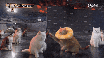 Show Me The Snack GIF