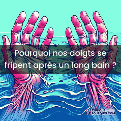 Adaptation Évolutive GIF by ExpliquePourquoi.com