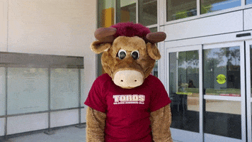 200.gif?cid=fc005b084abb3bf609b09c349372c88e74862c4554f90346&rid=200.gif&ct=g