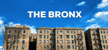 The Bronx Nyc GIF by BD Feliz