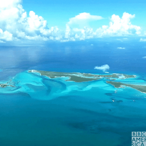 Tropical Island Ocean GIF by BBC America