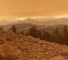 Orange Sky Wildfires GIF by GIPHY News