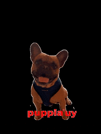 Dia Del Perro GIF by Grupo Thermotek - Find & Share on GIPHY
