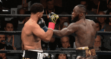 Wilder GIF
