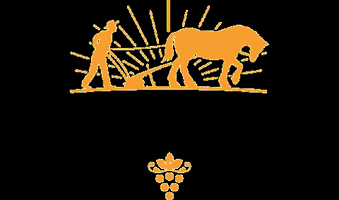 Viña De Martino GIF