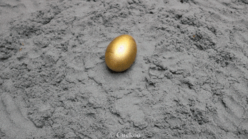 Chicken Egg GIF by UnusualCooking