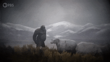 Big Foot Winter GIF by PBS Digital Studios