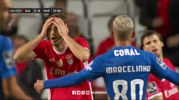 Sl Benfica Laughing GIF by Sport Lisboa e Benfica