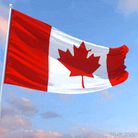 Canadian 3D GIF by Pi-Slices