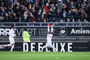 Amiens SC GIF