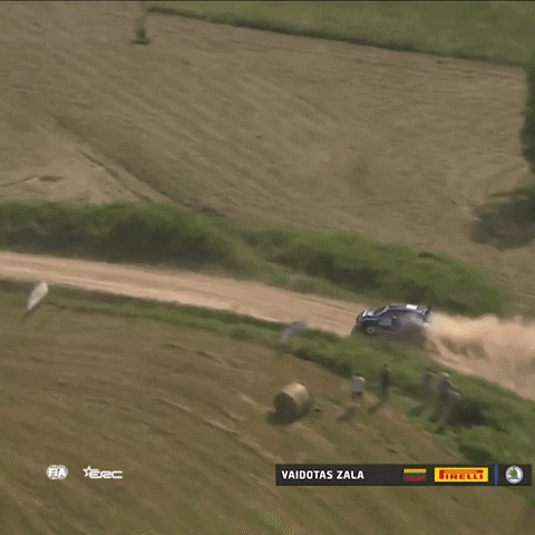 Driving In A Hurry GIF by FIA European Rally Championship