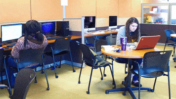 College Studying GIF by Western Illinois University