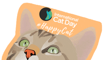 iCatCare Sticker