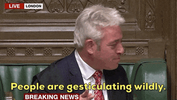 parliament john bercow people are gesticulating wildly GIF