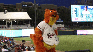 GIF by Frisco RoughRiders