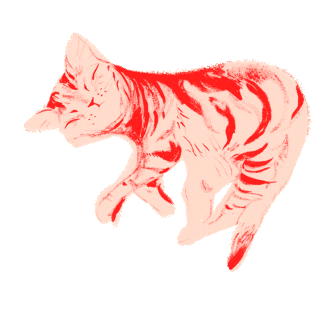 Illustration Cats Sticker