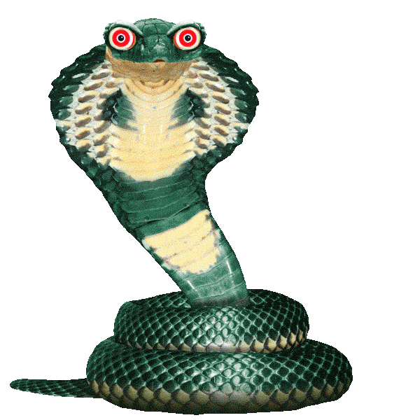 Hungry Snake Sticker by Chris Timmons for iOS & Android GIPHY