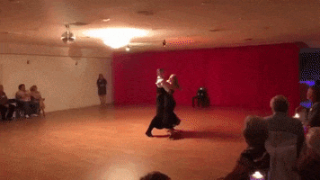anastassiaballroom dance dancing tango ballroom GIF