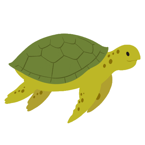 Turtle Sustainability Sticker by eon_italia for iOS & Android | GIPHY