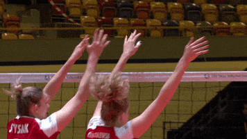 Cheer Block GIF by CEV - European Volleyball
